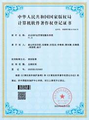 企业ERP运营规划服务系统-1
